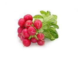 Radishes