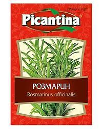 Spicy Rosemary 20 pcs/box